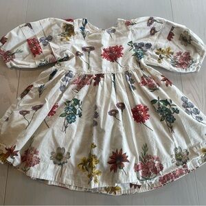 Pink chicken brooke dress